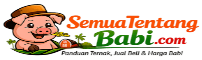 Semua Tentang Babi Indonesia Semua Tentang Babi Indonesia